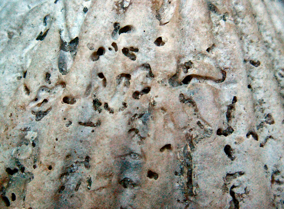 © Thijs de Boer © Thijs de Boer